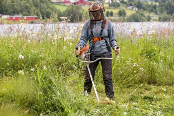 Débroussailleuse thermique FS 240 - Stihl – Image 2